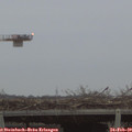 17_45-mast.jpg