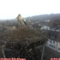 07_25-nest.jpg