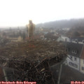 07_40-nest.jpg