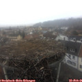 08_00-nest.jpg