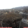 08_05-nest.jpg