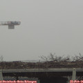 08_15-mast.jpg
