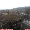 08_20-nest.jpg