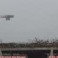 08_25-mast.jpg