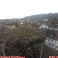 08_25-nest.jpg