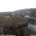 08_35-nest.jpg