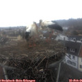 09_00-nest.jpg