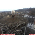 10_10-nest.jpg