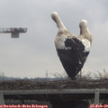 10_45-mast.jpg