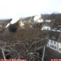 11_00-nest.jpg