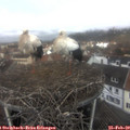 11_15-nest.jpg