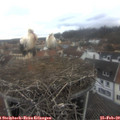 11_45-nest.jpg