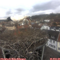 11_55-nest.jpg