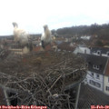 12_00-nest.jpg