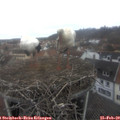 12_05-nest.jpg