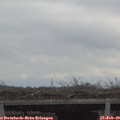 12_40-mast.jpg