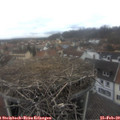 12_40-nest.jpg