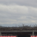 12_45-mast.jpg