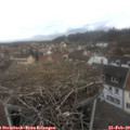 12_45-nest.jpg