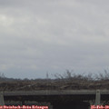 12_50-mast.jpg