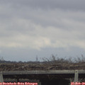 13_05-mast.jpg