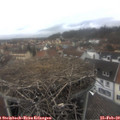 13_05-nest.jpg
