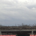13_20-mast.jpg