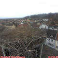 13_20-nest.jpg
