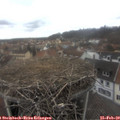 13_45-nest.jpg