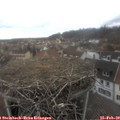 13_50-nest.jpg