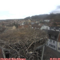 13_55-nest.jpg