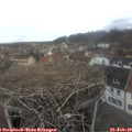 14_00-nest.jpg