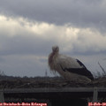 14_05-mast.jpg