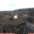 15_35-nest.jpg