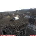 15_45-nest.jpg
