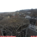 16_05-nest.jpg