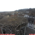 16_10-nest.jpg