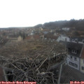 16_15-nest.jpg