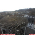 16_25-nest.jpg
