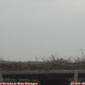 16_35-mast.jpg