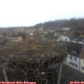16_45-nest.jpg