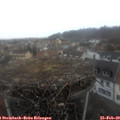 16_50-nest.jpg