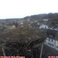 17_30-nest.jpg