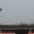 17_45-mast.jpg