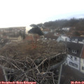07_25-nest.jpg