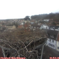 07_35-nest.jpg