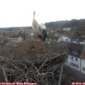 07_45-nest.jpg