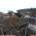 08_05-nest.jpg