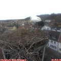 08_25-nest.jpg