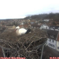 08_30-nest.jpg